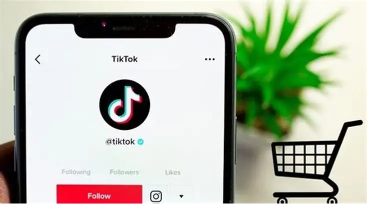 Imagem-do-WhatsApp-de-2025-08-05-as-15.01.57_0f45b726 Tiktok Shop: guia definitivo para sua empresa estar e lucrar no marketplace