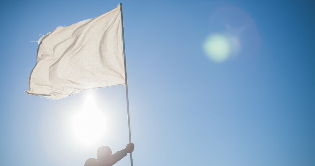 white-flag-1024x538 Por que combater os monopólios no comércio online é essencial para você