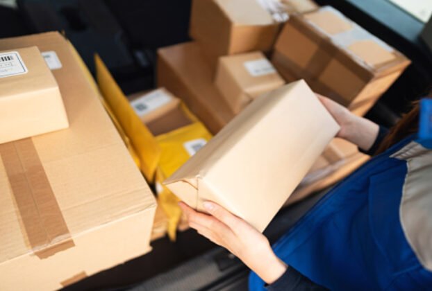 Dia do Frete Grátis